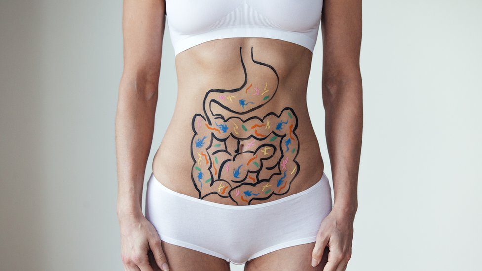 Dibujo del intestino en la barriga de una mujer