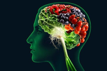 Silueta de un cerebro humano hecha con frutas y verduras